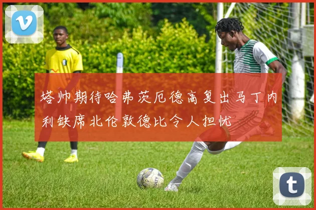塔帅期待哈弗茨厄德高复出马丁内利缺席北伦敦德比令人担忧