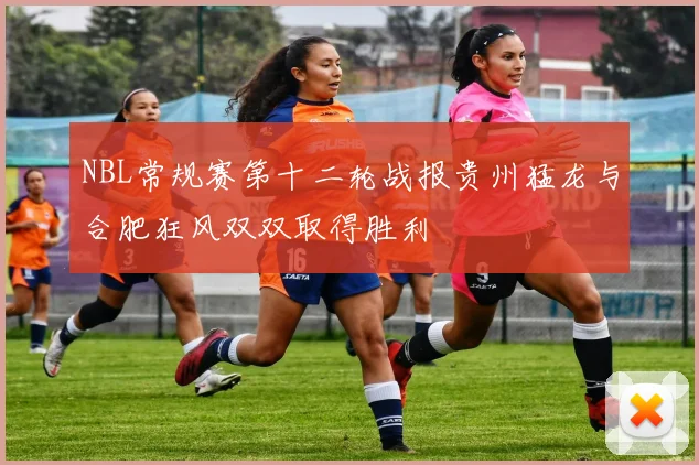 NBL常规赛第十二轮战报贵州猛龙与合肥狂风双双取得胜利